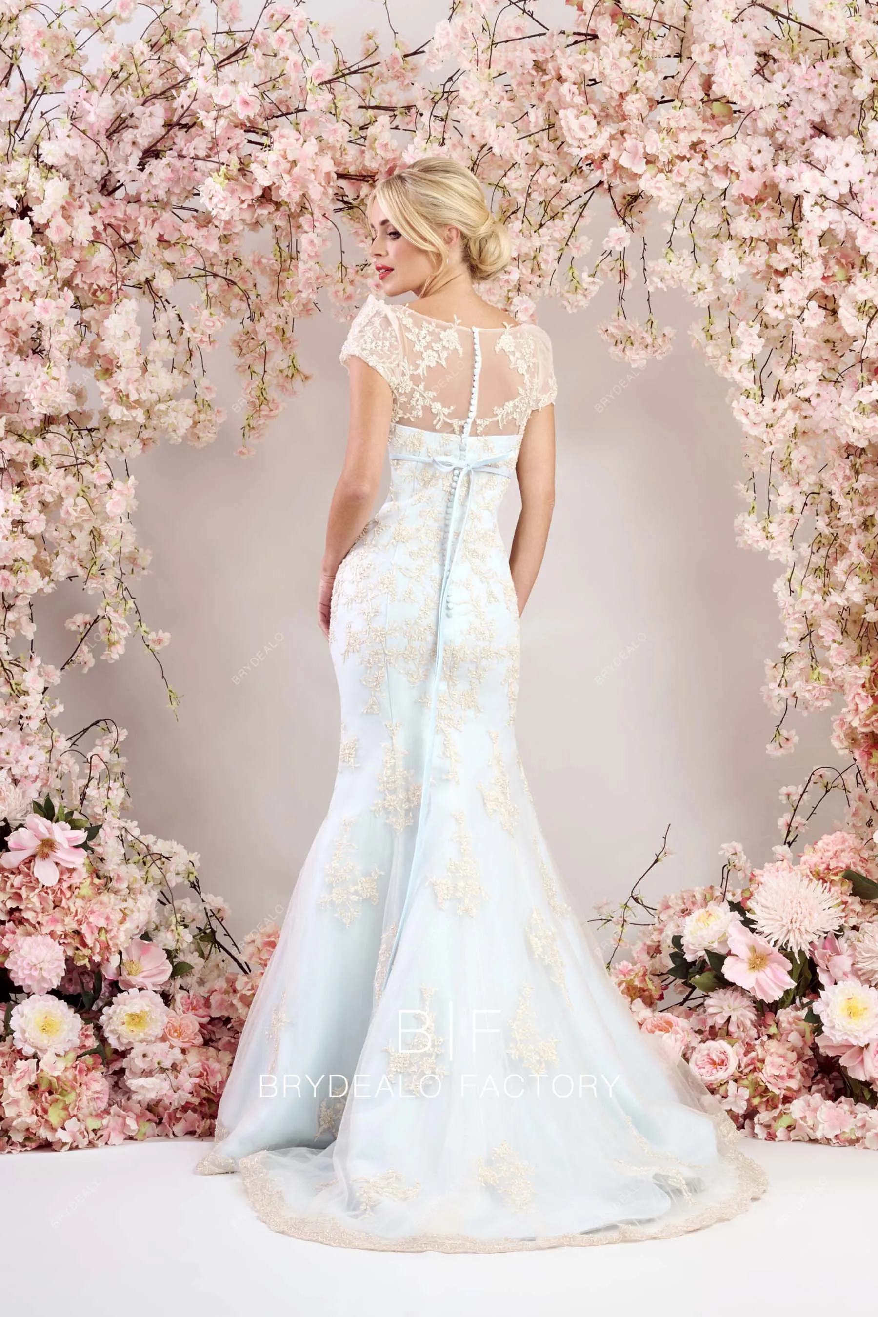 Champagne Lace Blue Queen Anne Long Bridal Dress with Overskirt