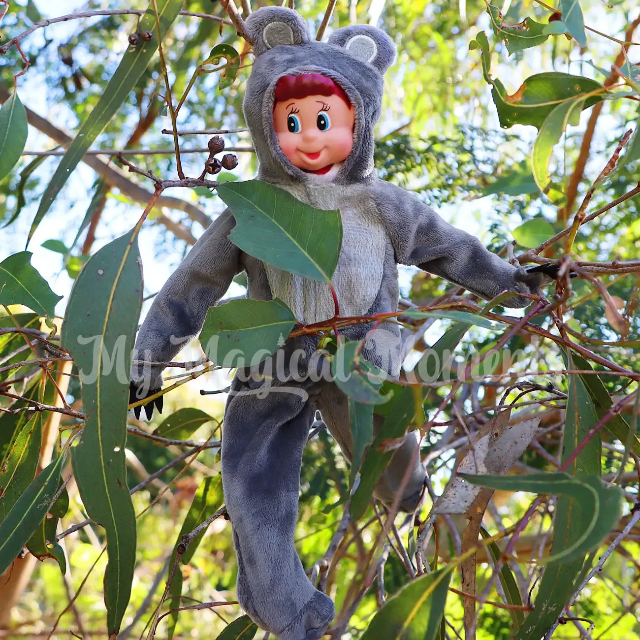 Costume - Koala
