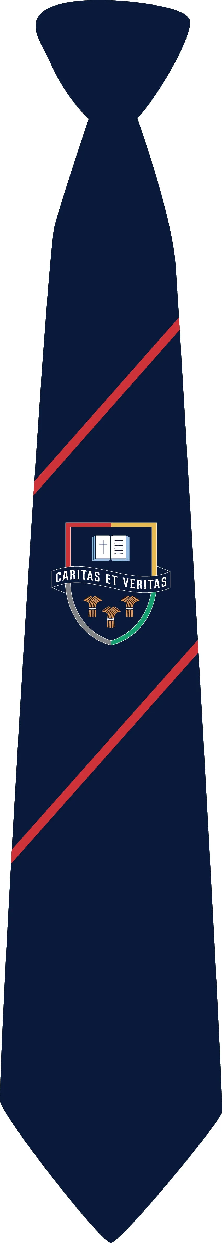 Hartford Church of England High School Tie - Year 11