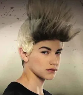 Teen Pop Star